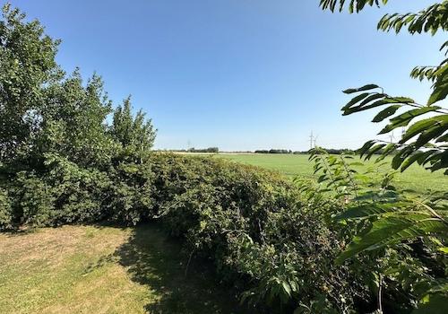 Blick in die Ferne