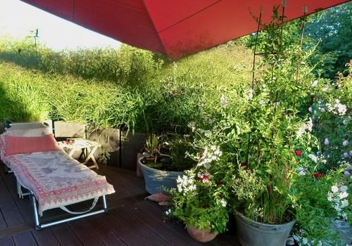 Terrasse Süden 