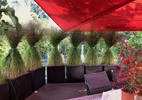 Südterrasse