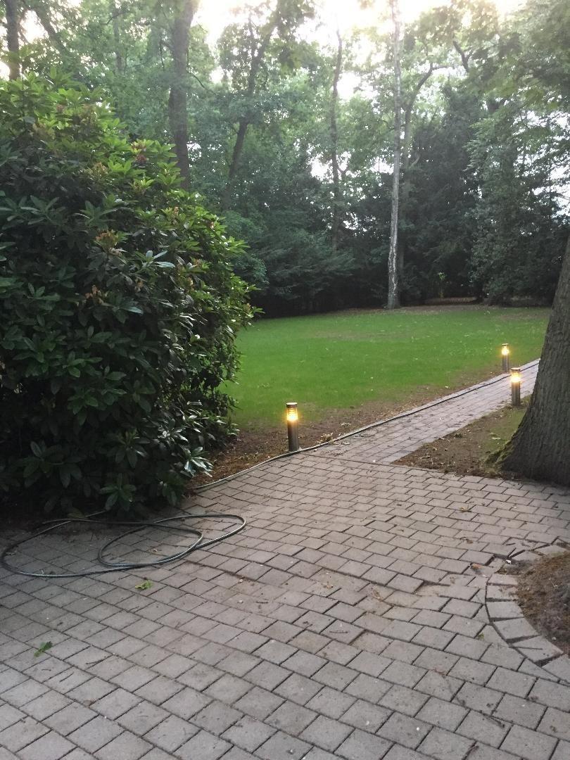 Gartenfläche