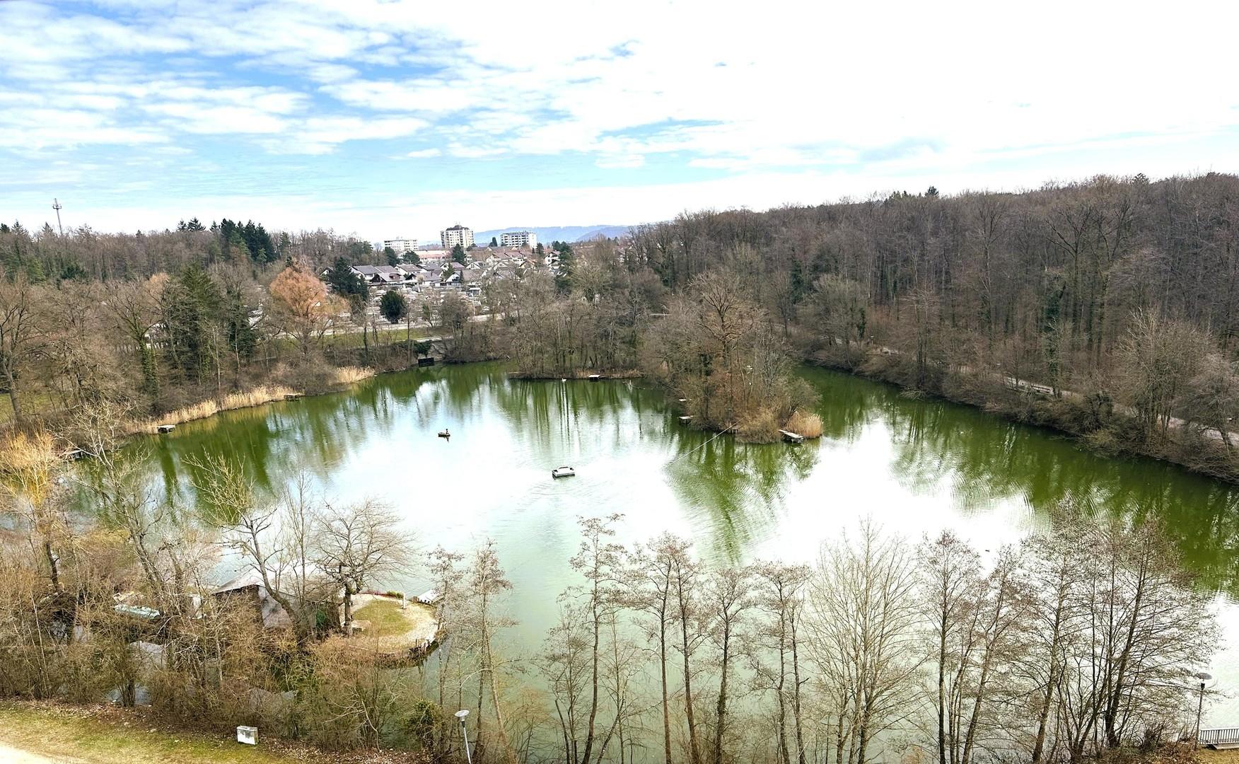 Seeblick