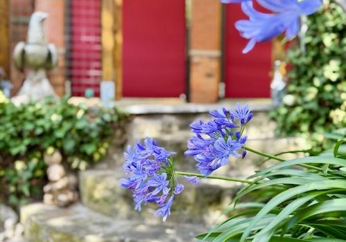 Gartenimpression