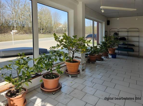 Bild/Grundriss 1