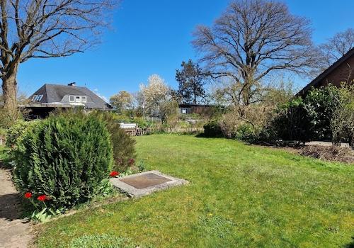 Blick in den Garten