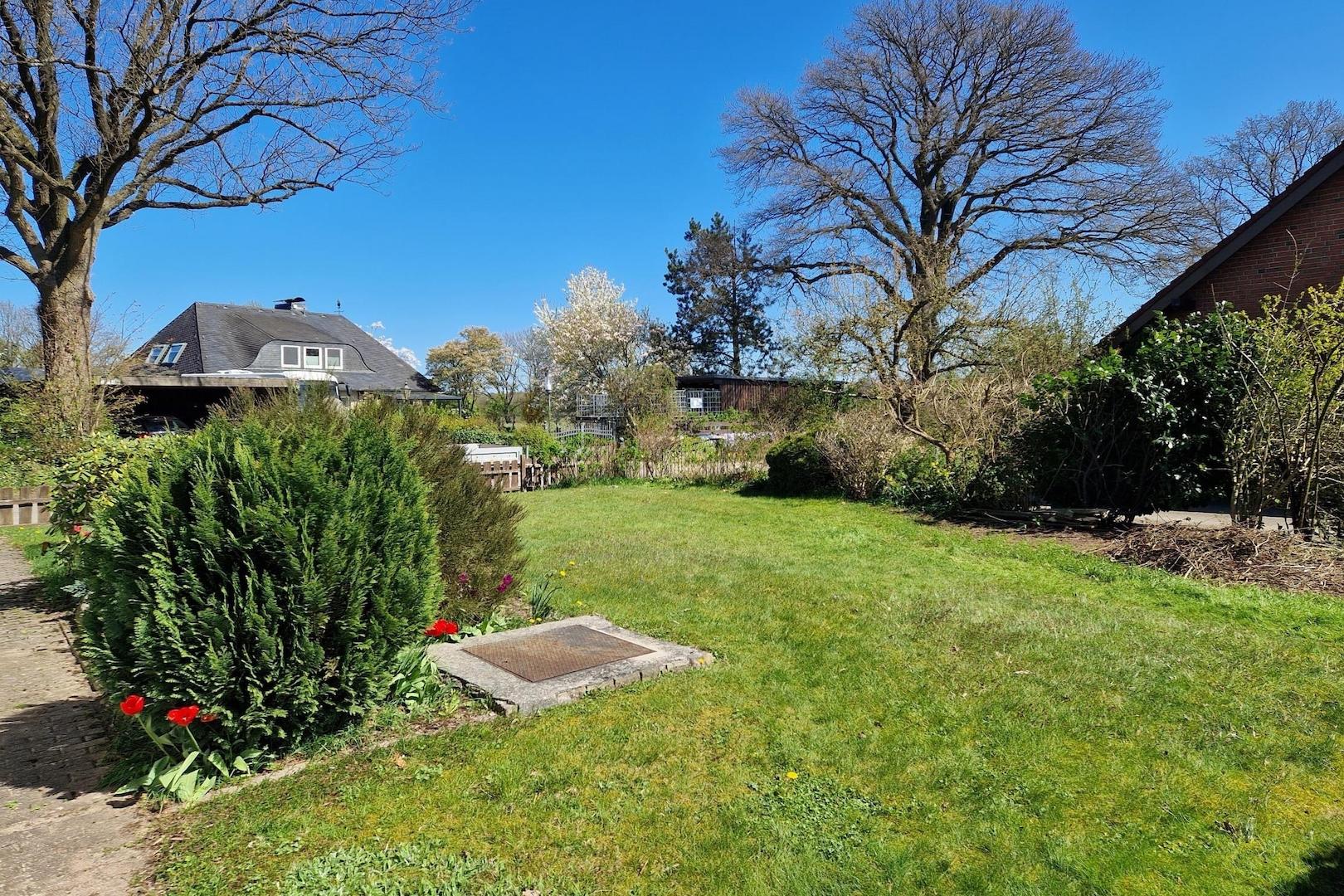 Blick in den Garten