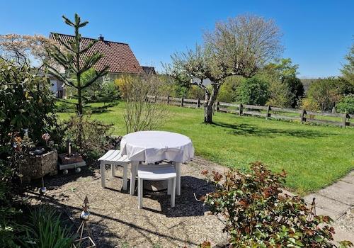 Blick in den Garten