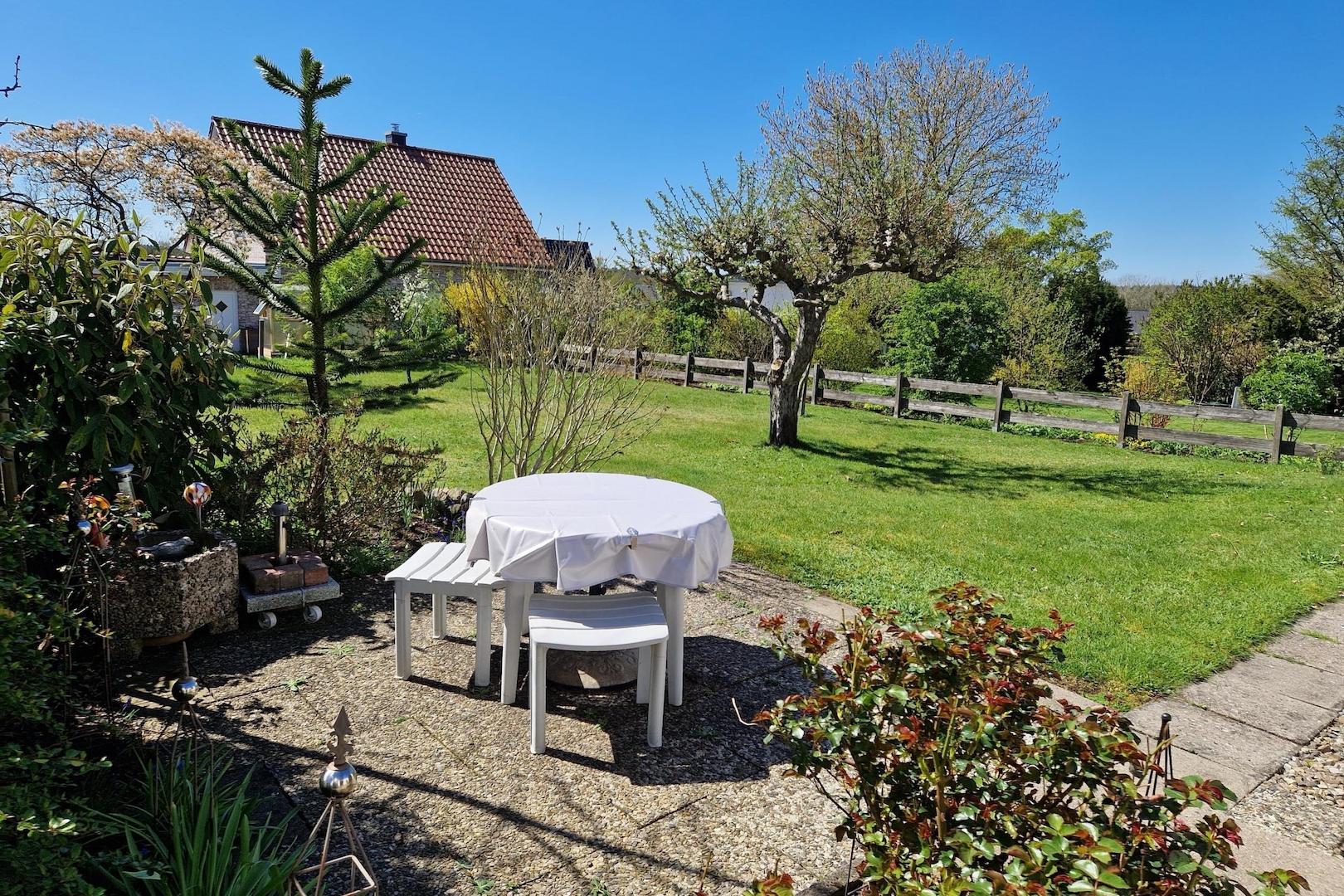 Blick in den Garten