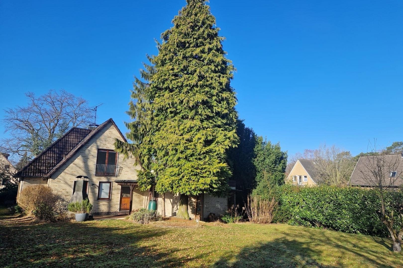 Gartenbereich