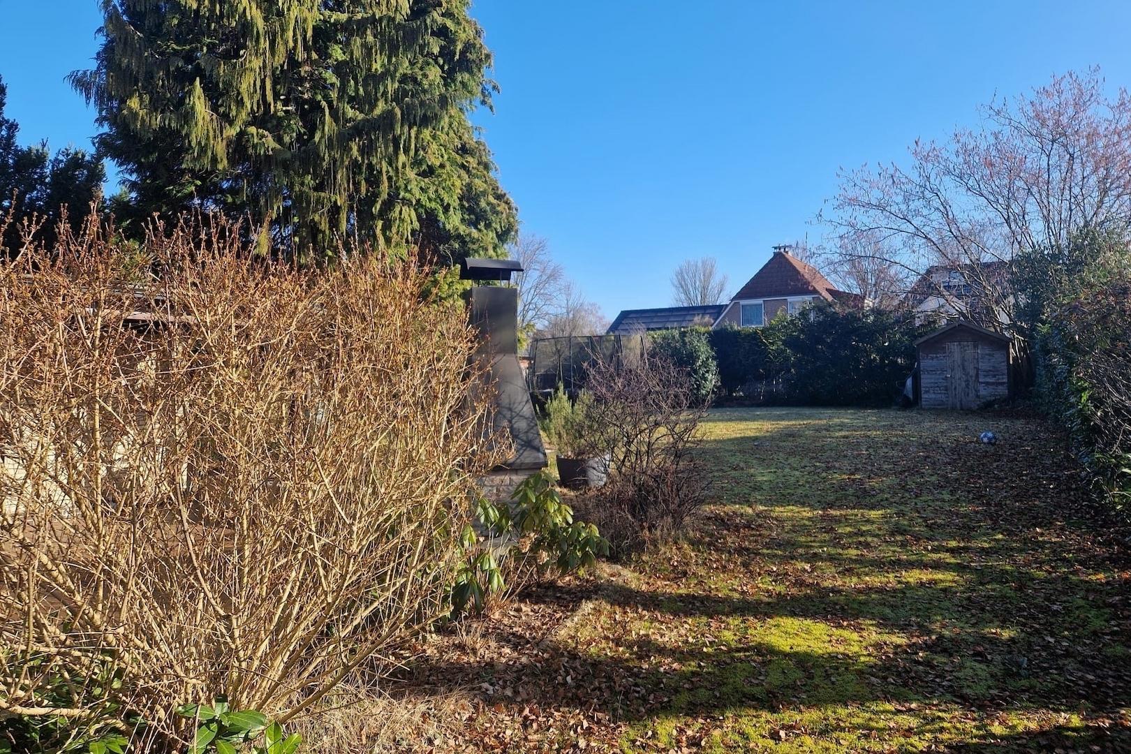 Blick in den Garten