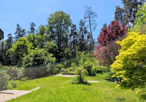 Garten mit Waldblick