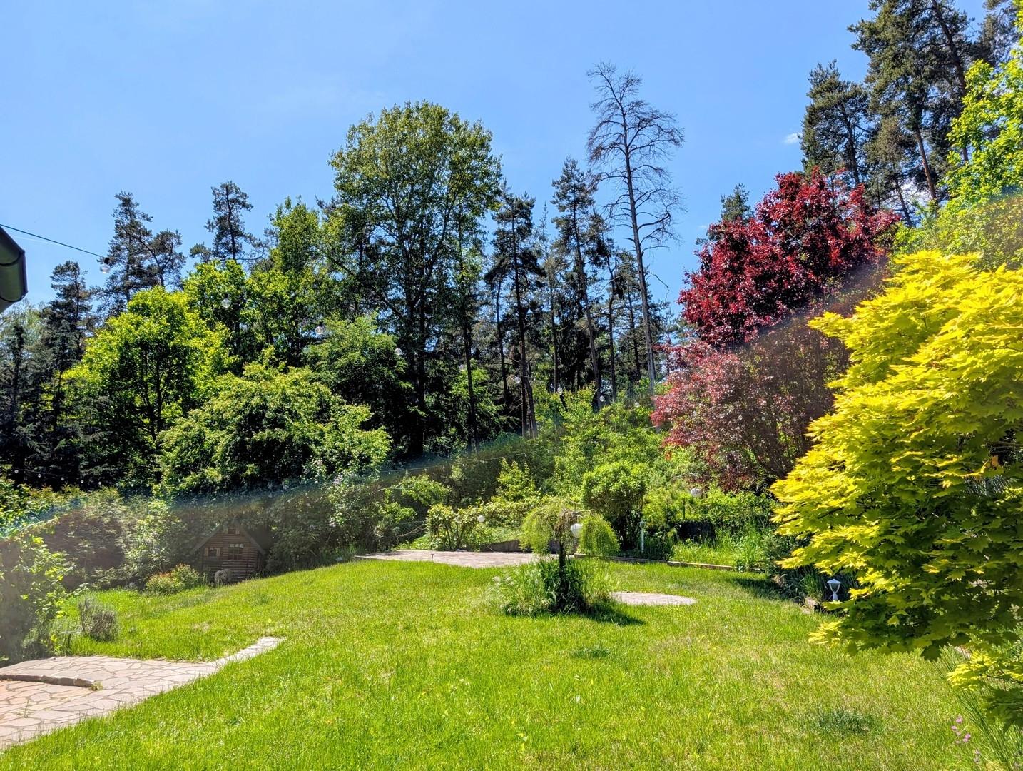 Garten mit Waldblick