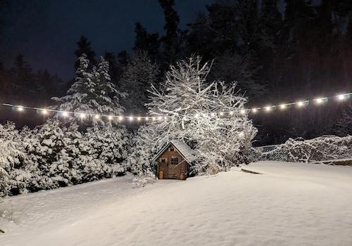 Garten im Schnee