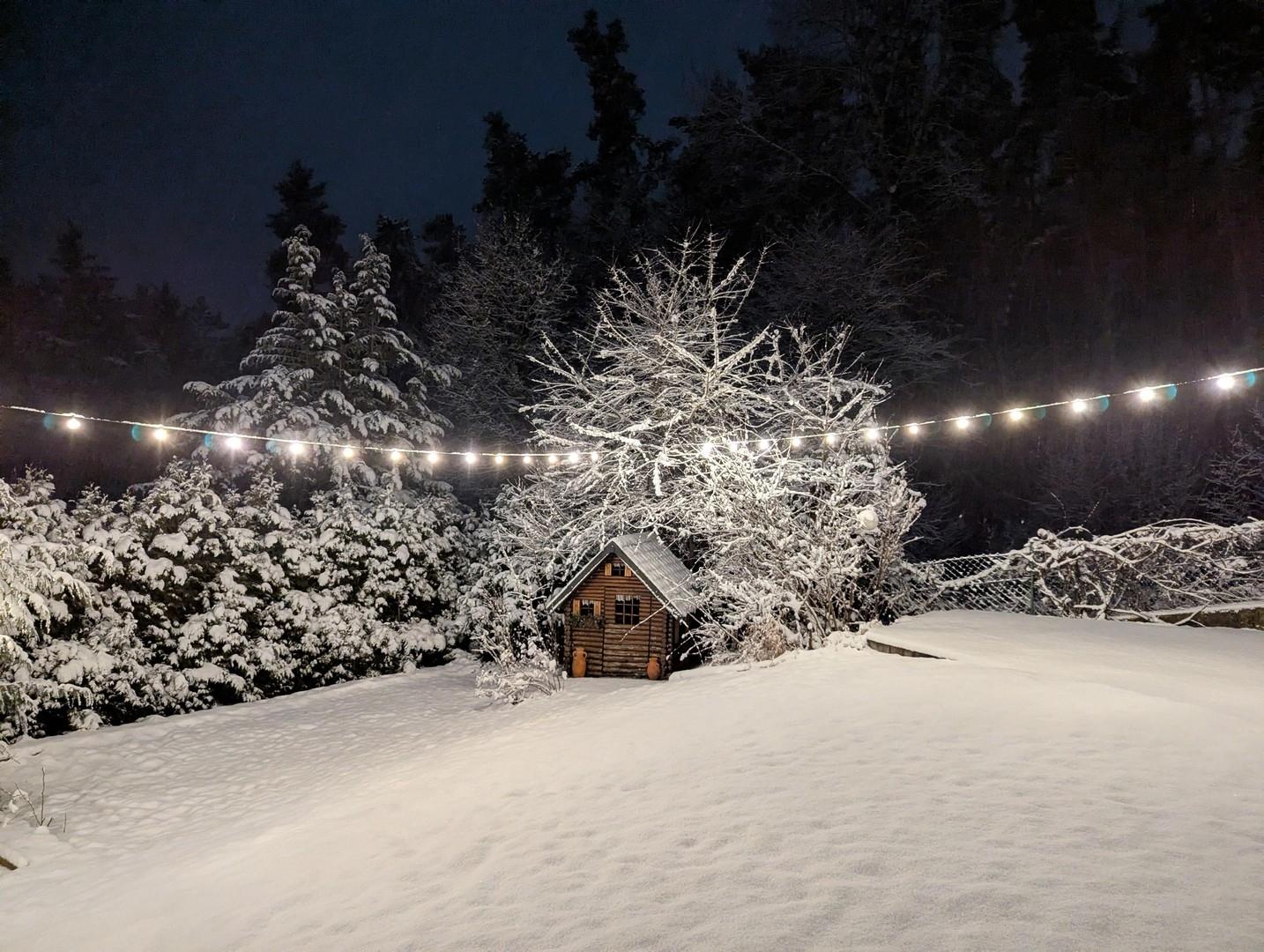 Garten im Schnee