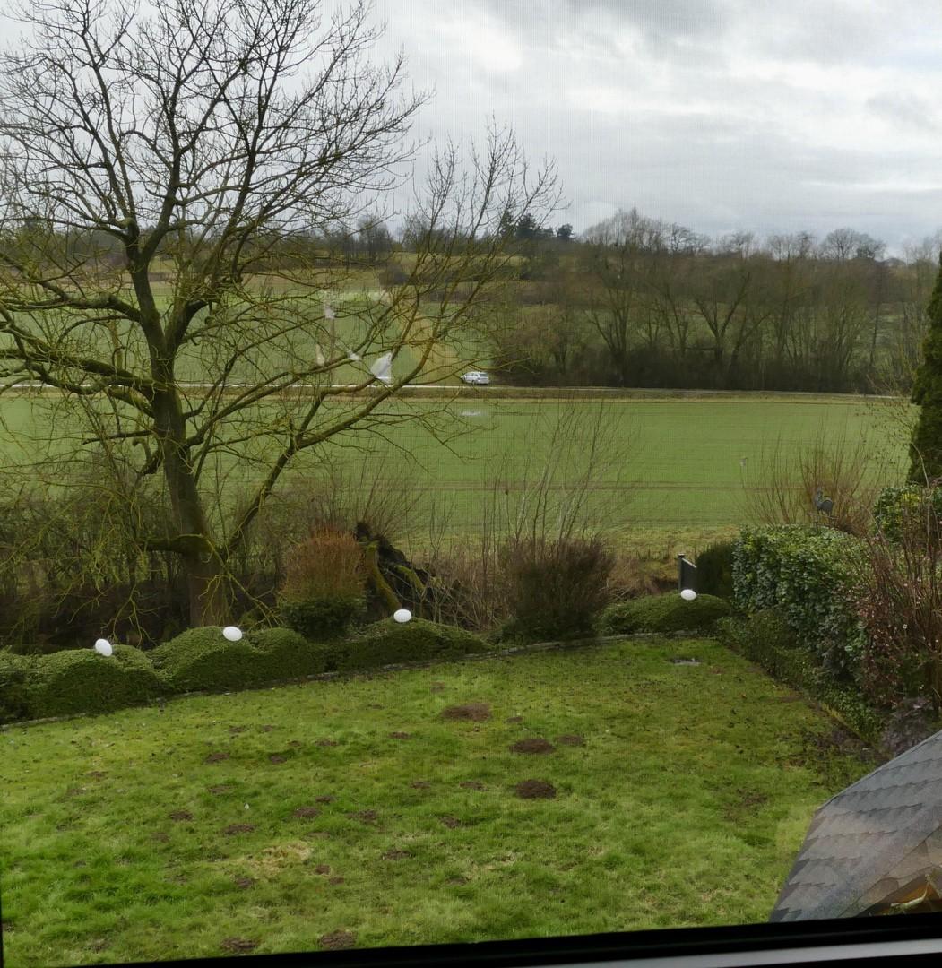Blick in das Naturschutzgebiet