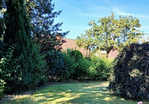 Garten im Sommer