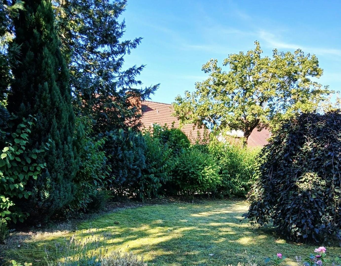 Garten im Sommer