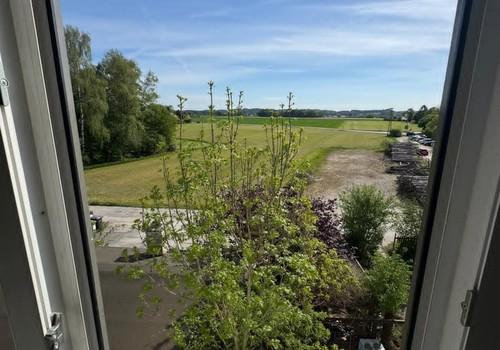 Blick DG