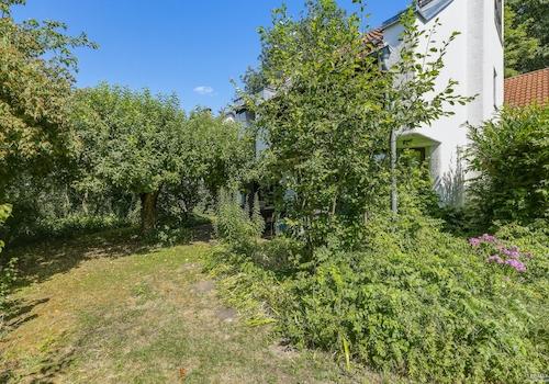 Eingewachsener Garten