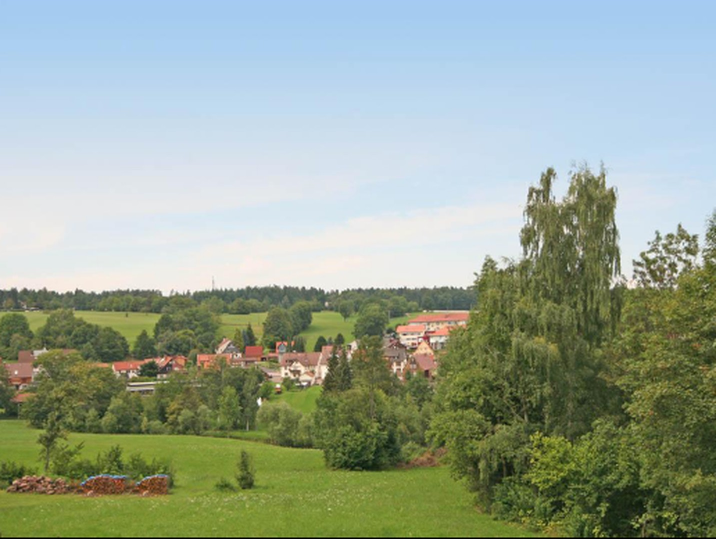 Ausblick 