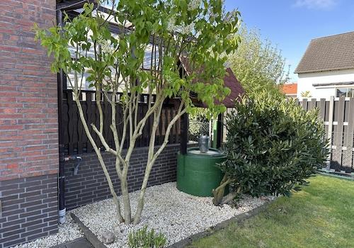 Garten 1