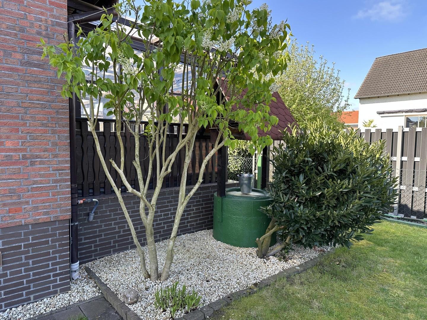 Garten 1