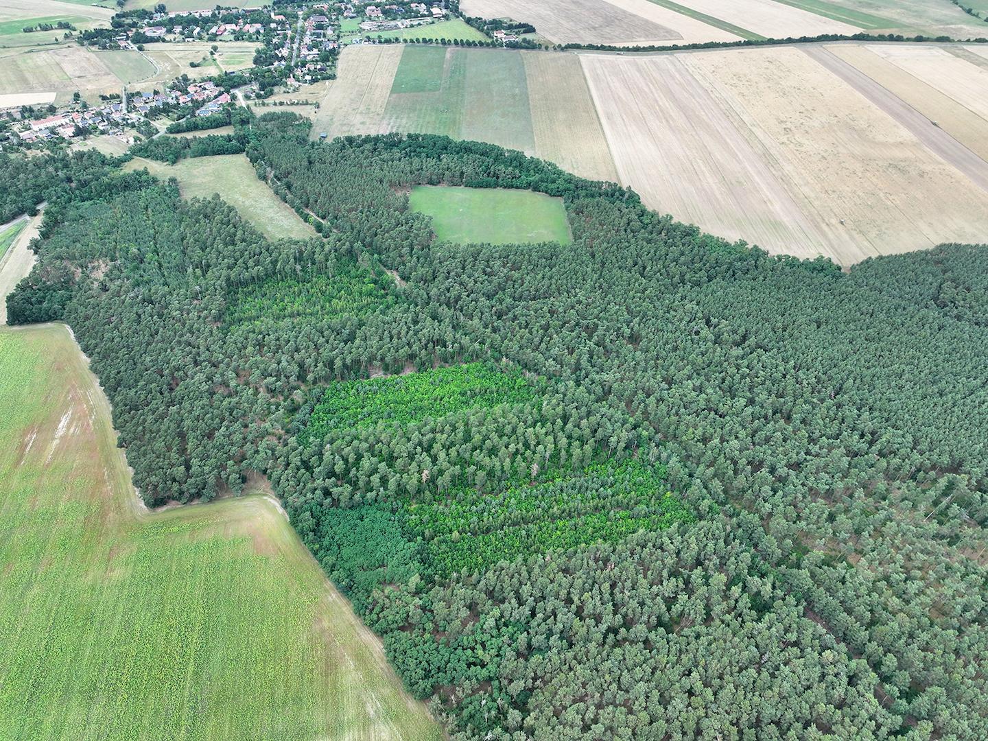 Blick Richtung Nord-Ost 