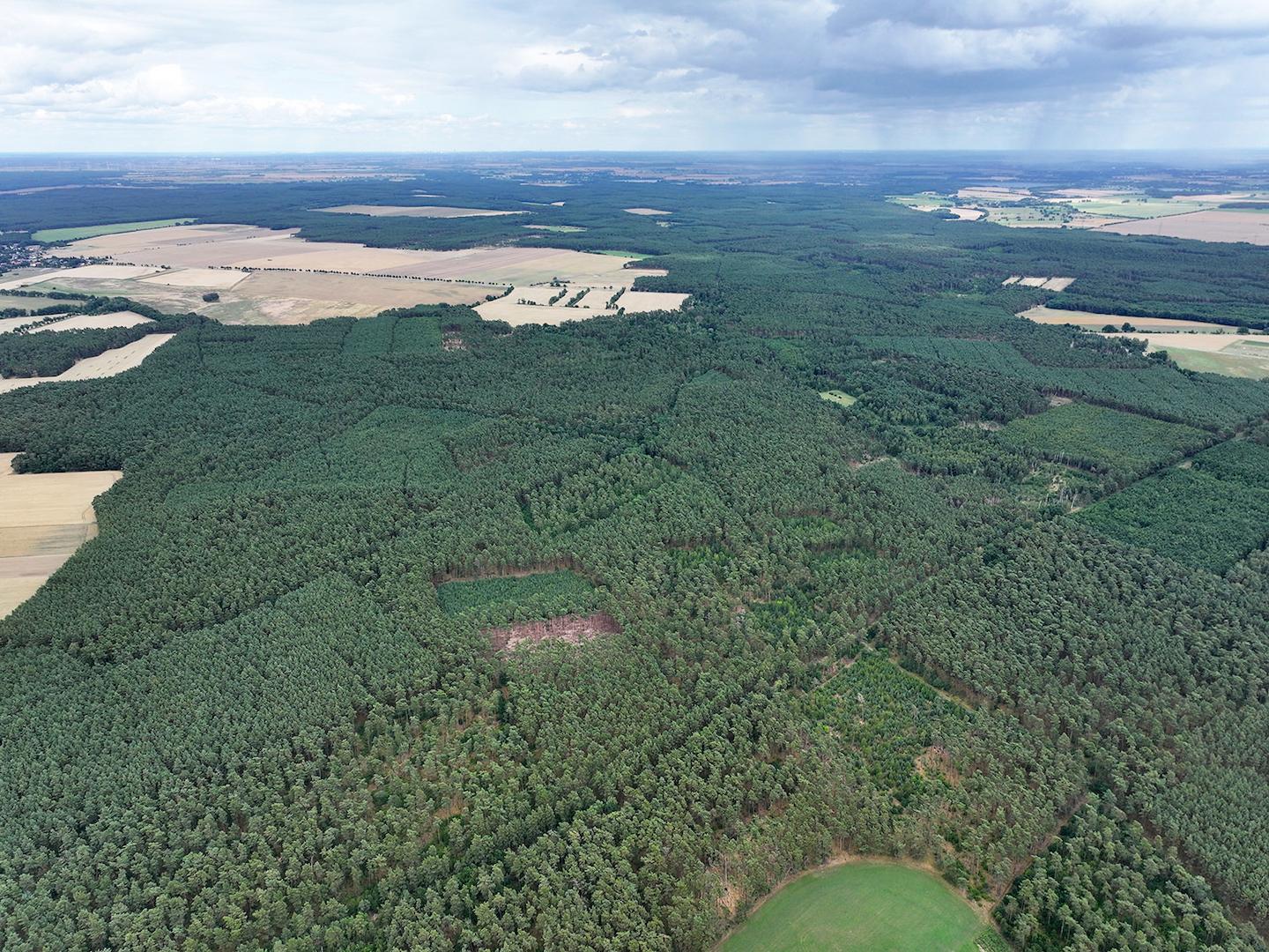Blick Richtung Süd-Ost 