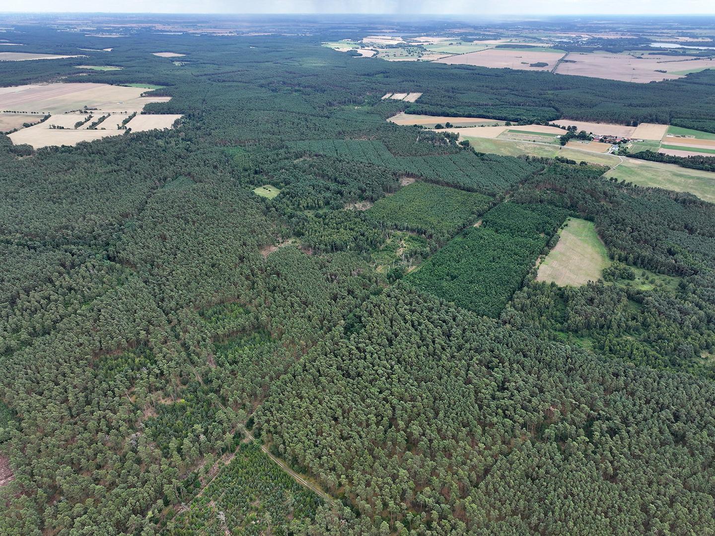 Blick Richtung Süfren 