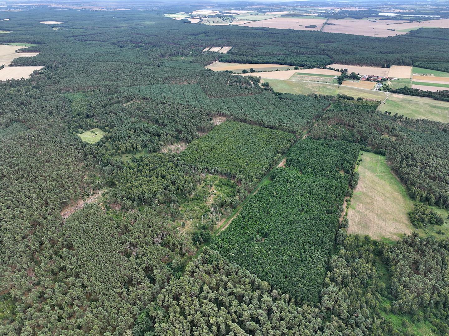 Blick Richtung Süden 