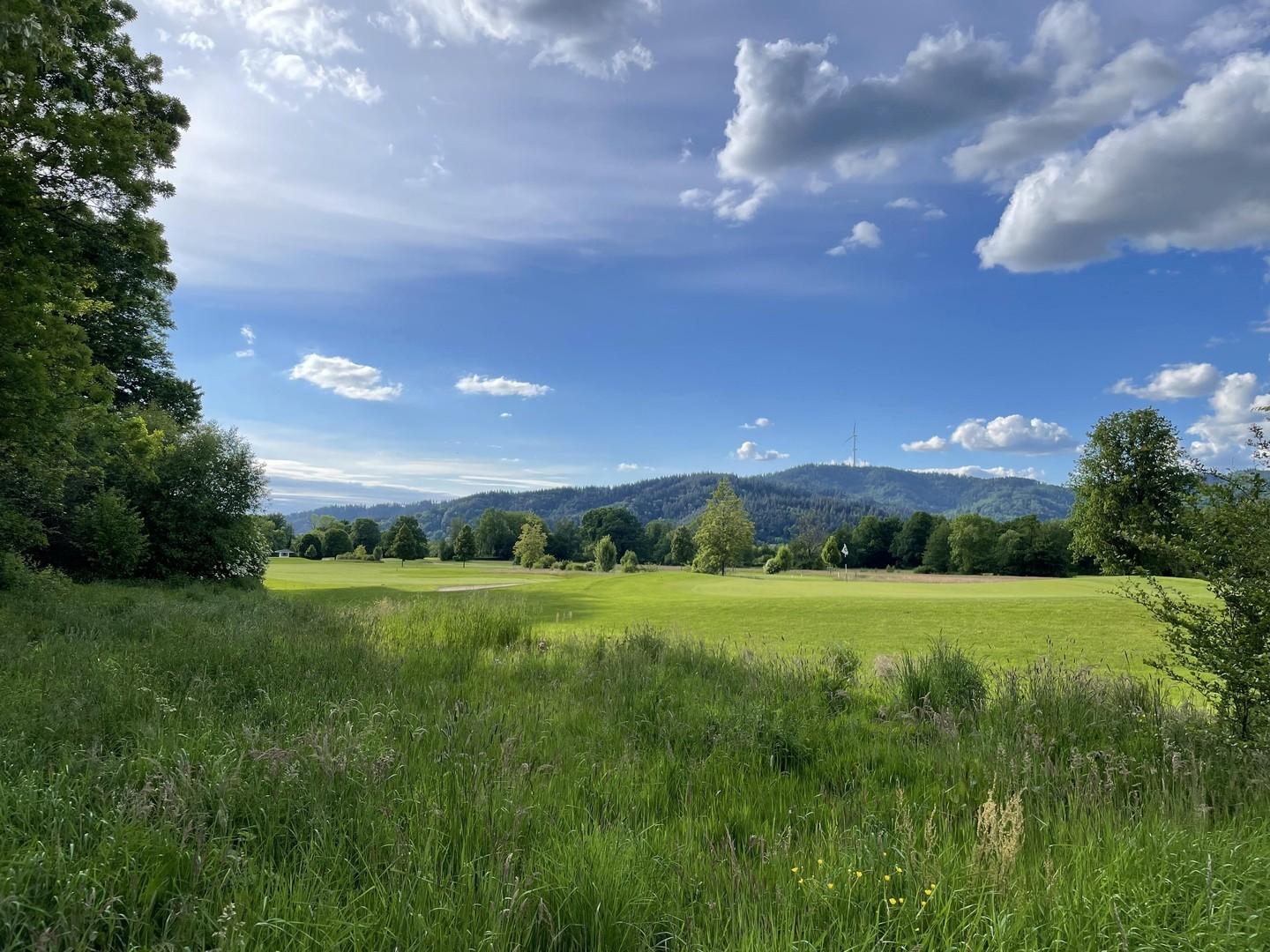 Dreisamtal