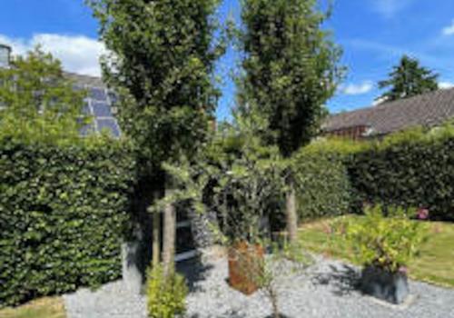 Bild11