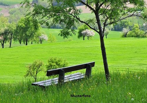 Keine Originalbilder