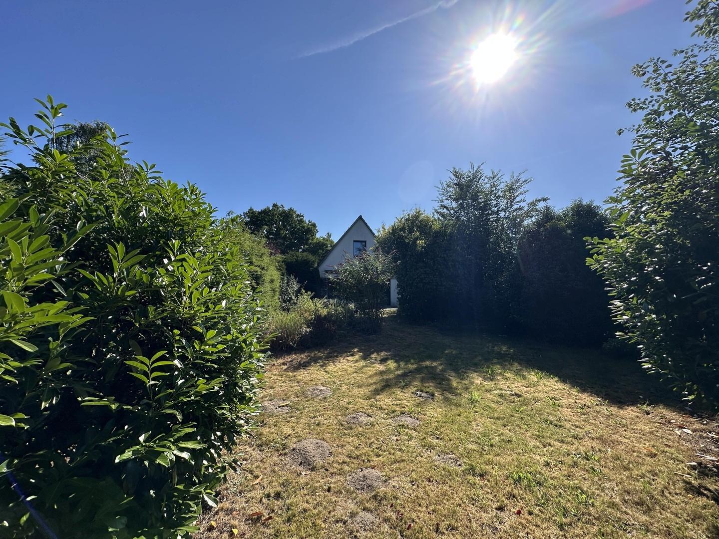 Garten hinten