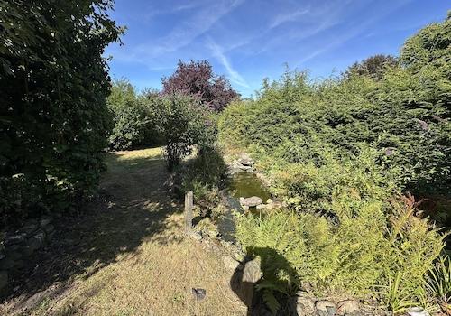 Garten hinten mit Teich