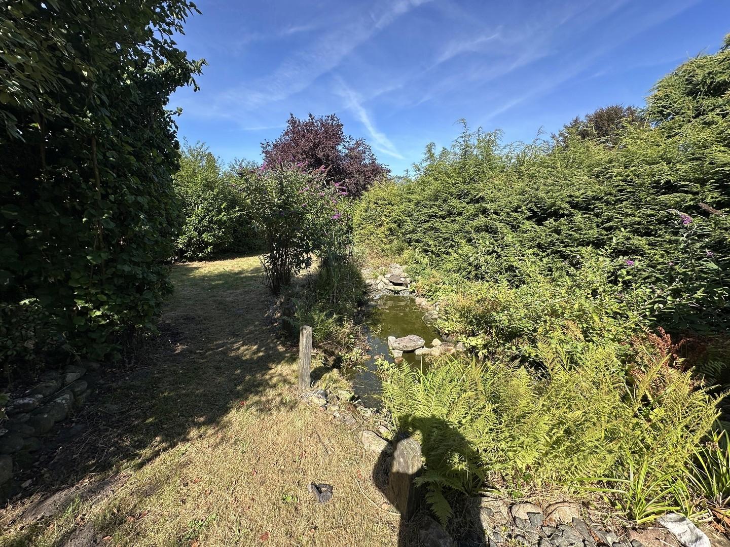 Garten hinten mit Teich