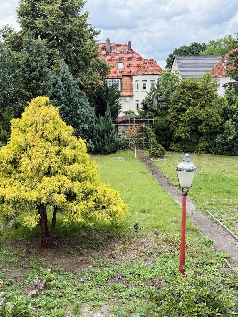 Blick in den Garten