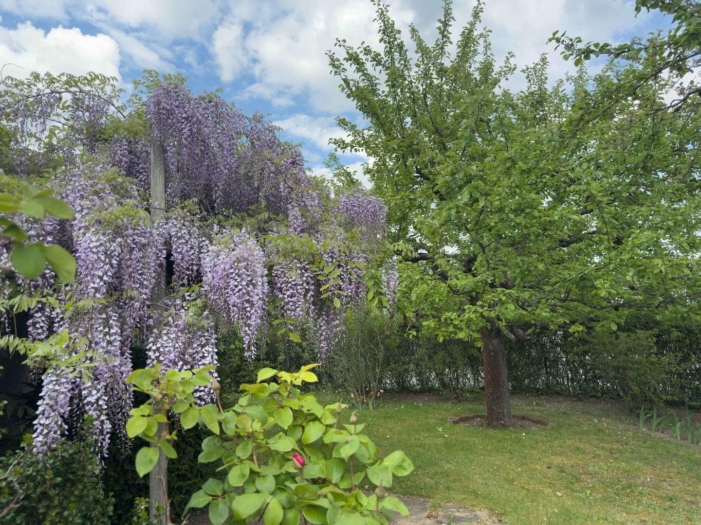 Gartenidylle