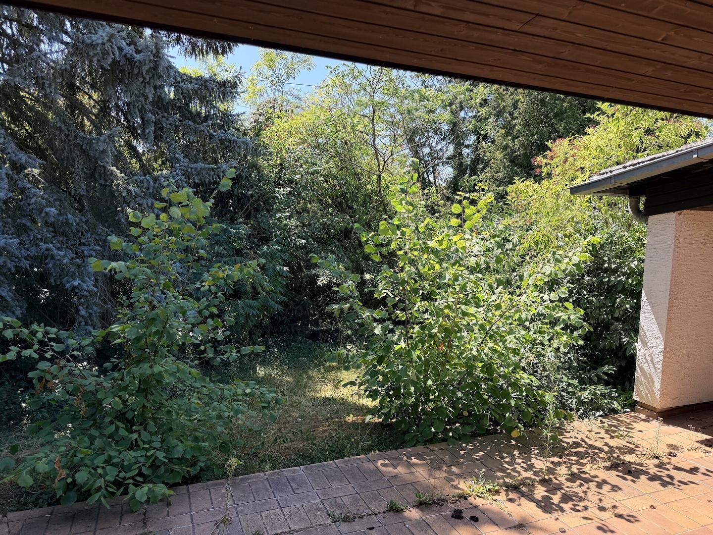 EG Terrasse