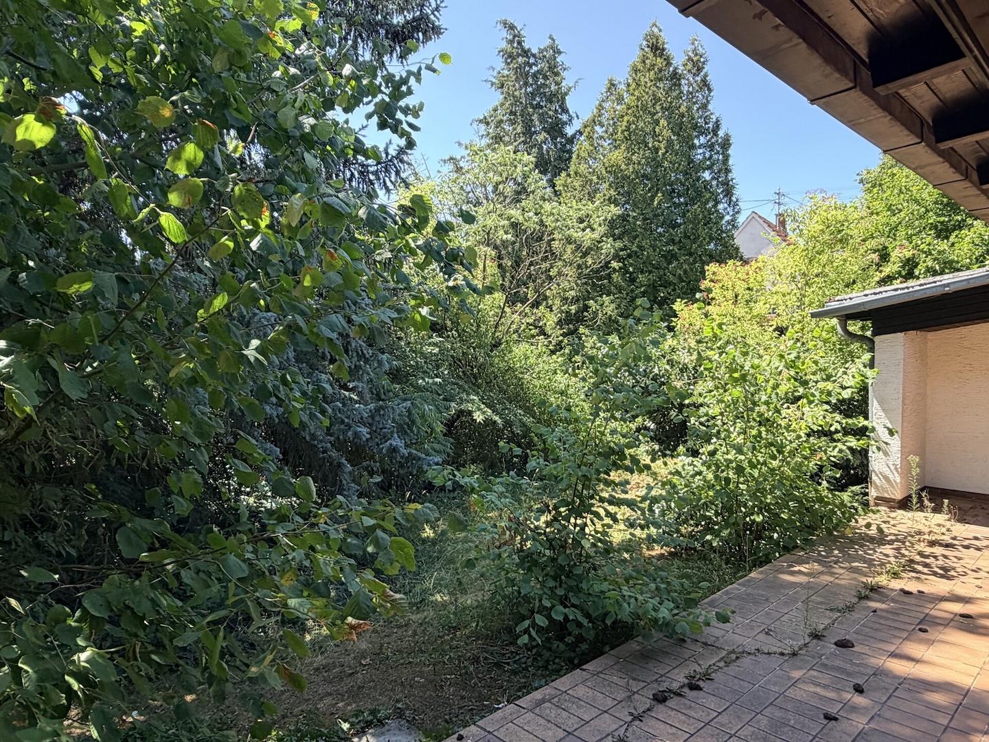 EG Terrasse Garten