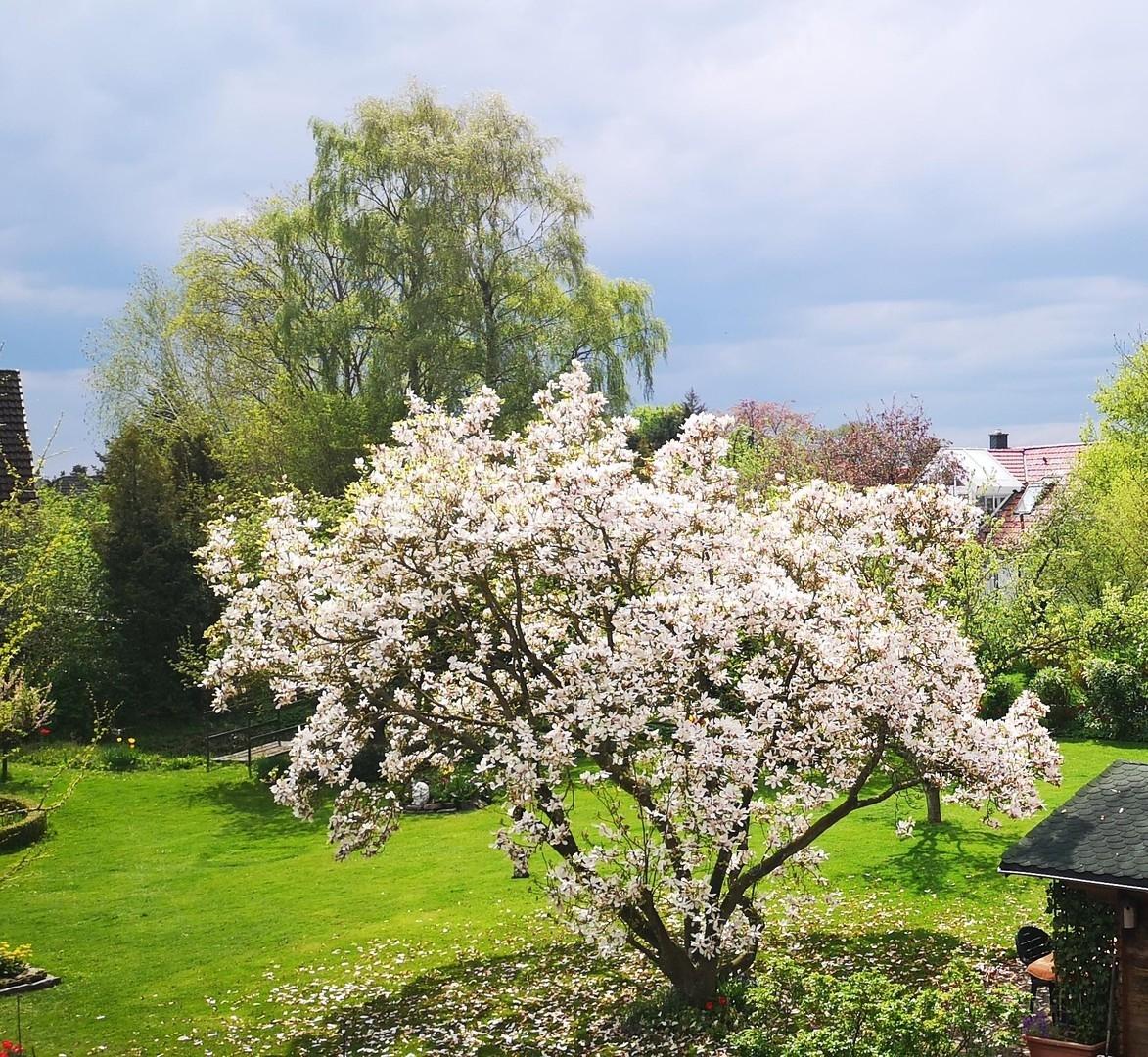 Aussicht aus Wohnung  