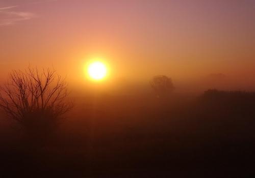 Morgennebel im Spätsommer