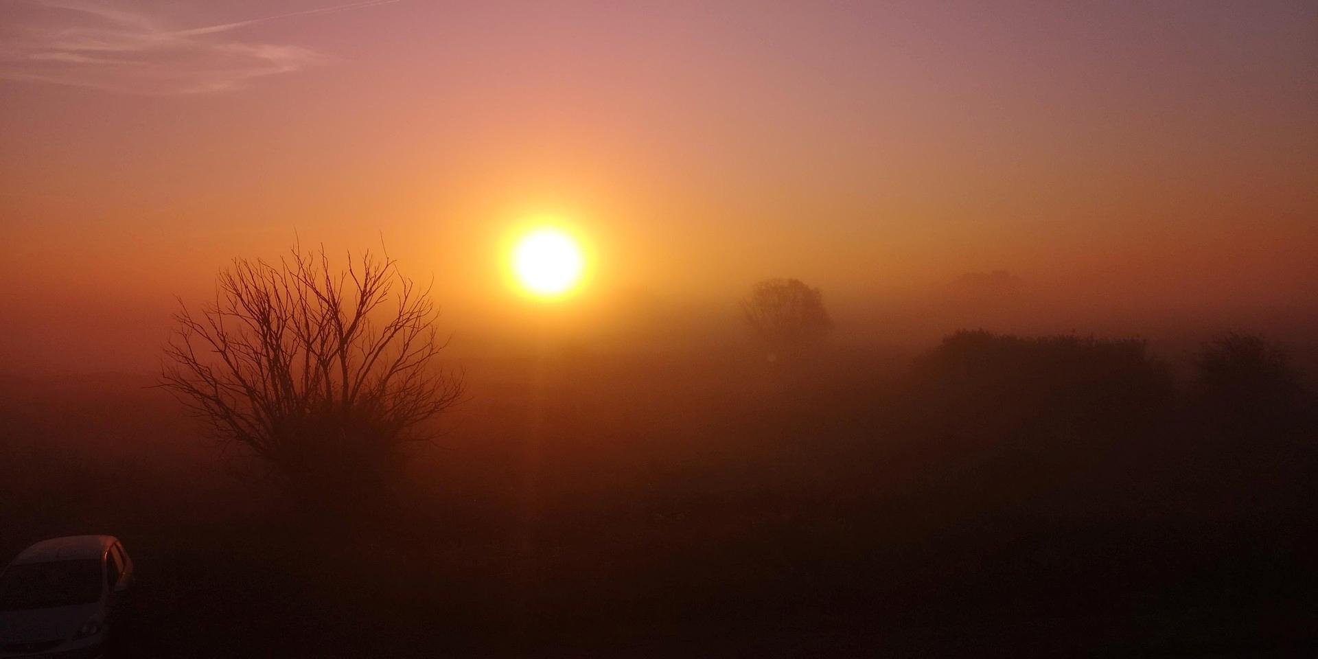 Morgennebel im Spätsommer