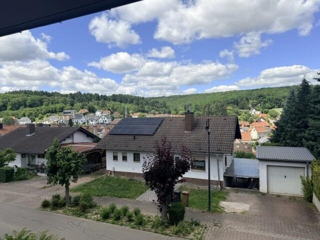 EG Aussicht vom Eingang