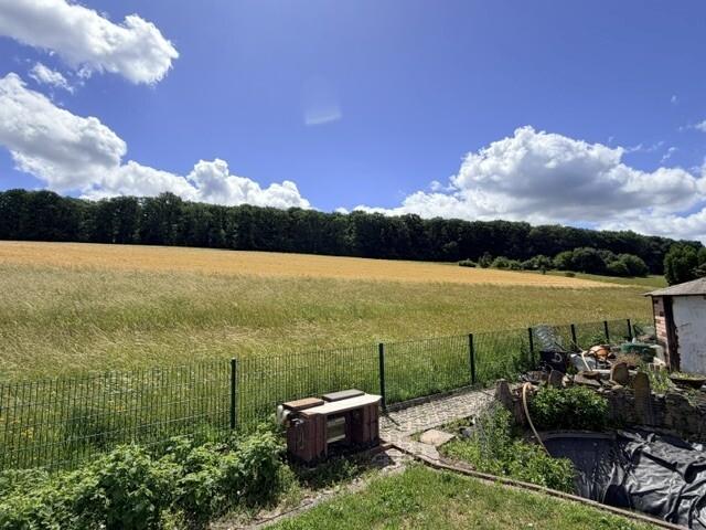 Garten - Feldrand