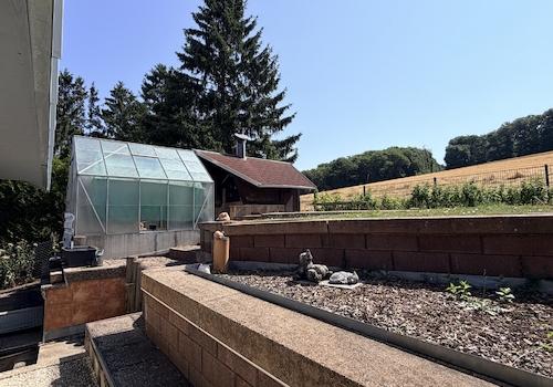 Garten 2 (2)