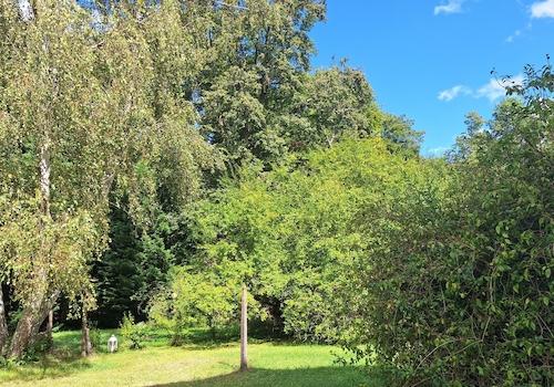Garten auf der Nordseite 