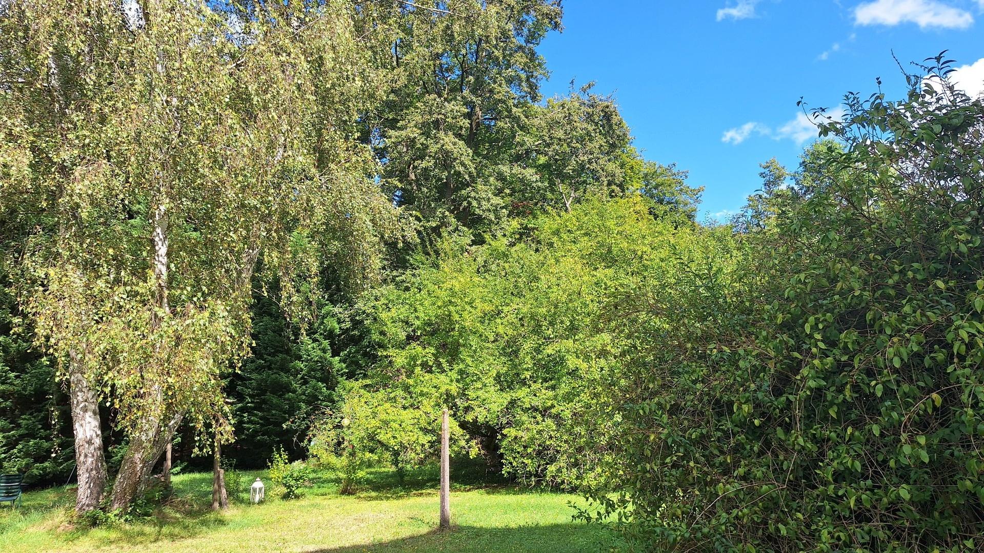 Garten auf der Nordseite 