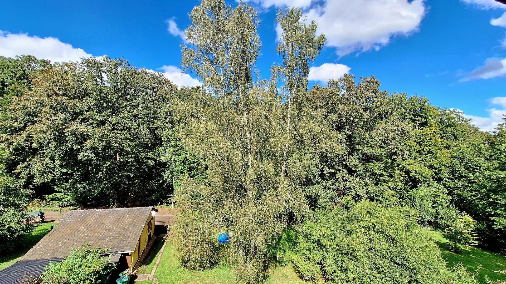 Garten mit Doppelgarage 