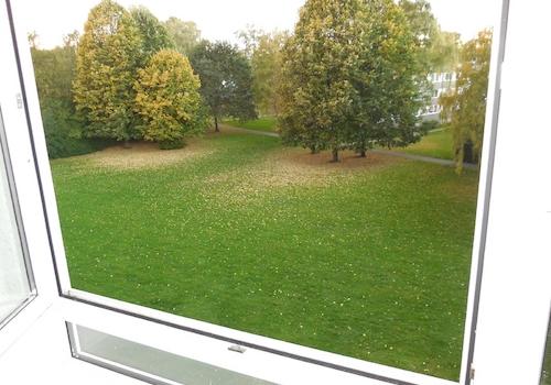 Aussicht