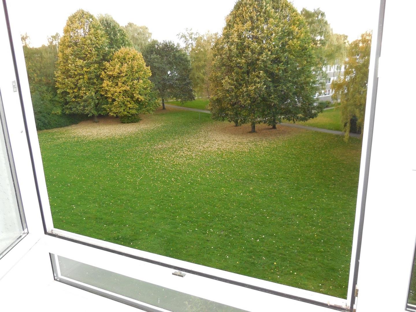 Aussicht